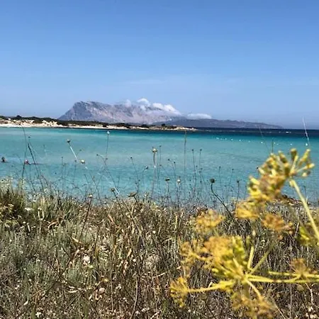Tra Mare E Natura דירה בודוני