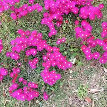 Villetta Tra Mare E Natura *